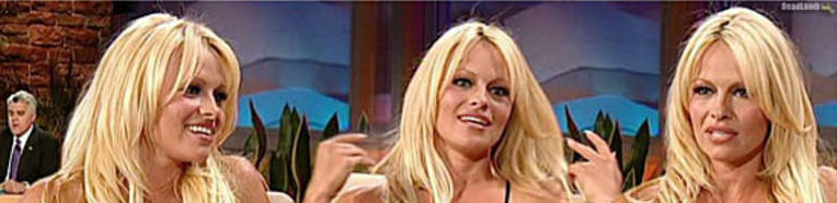 Estilo famosas: Pamela Anderson