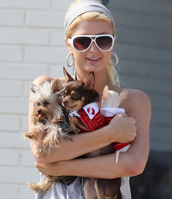 Dietas famosas: Paris Hilton con su perro