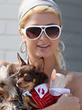 Dieta Hollywood: Paris Hilton