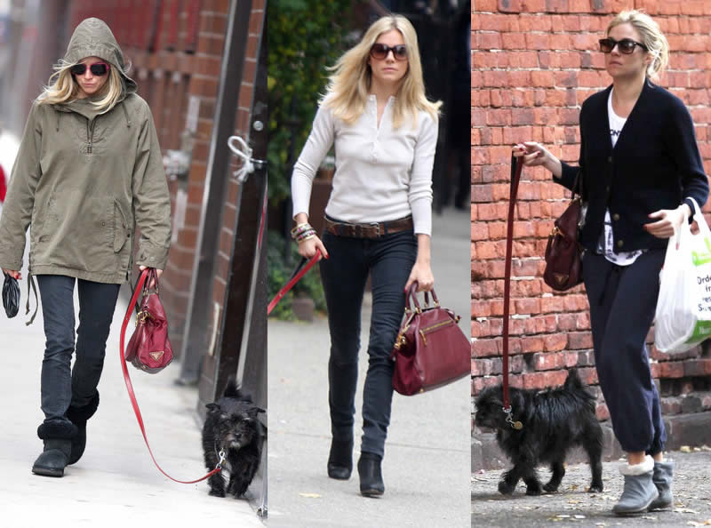 Estilo famosas: Sienna Miller con su perro